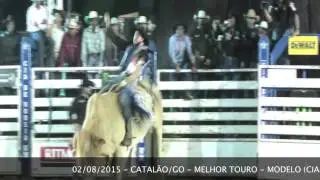 CATAL&Atilde;O/GO - MELHOR TOURO: MODELO (CIA MARCELO CASTRO)