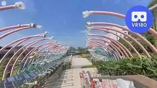 Supertree Grove@Garden By the Bay. A VR180 Virtual Experience