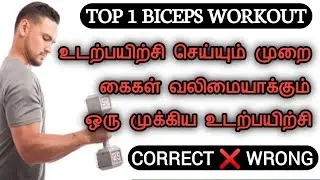 BICEPS WORKOUT FOR BEGINNERS TAMIL | Exercise Method