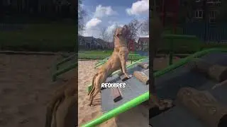 Top 3 Dogs Too Dangerous for Kids#DangerousDogs #DogsAndKids