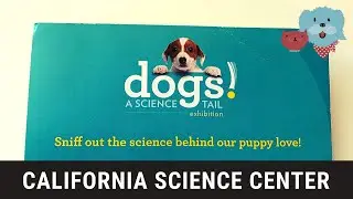 Dogs! A Science Tail | Exhibit at the California Science Center & Boston Museum of Science