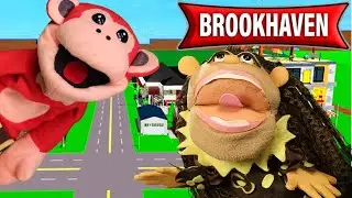 El Mono Juega: BROOKHAVEN - Una Locura!!! - Gameplay - ROBLOX