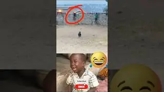 Atasa 🤣🤣 #funny #lol #dog