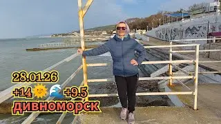 Ykov Bonar в прямом эфире!