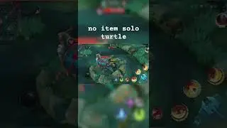 Fanny lvl 15 no item solo turtle