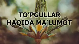 TO'PGULLAR | ТЎПГУЛЛAР.