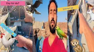 Daily Pet Routine 2023||pets vlog||Father & son