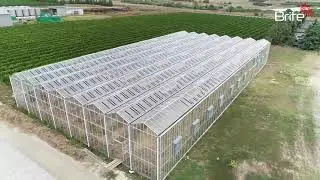 Brite Greenhouse Aerial View