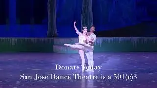 San Jose Dance Theatre 501(c)3