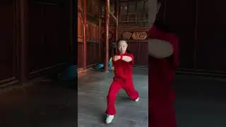 Dragon Fist Kung Fu 🐉Shaolin Spirit 🧘&zwj;♂️Iron Palm Kung Fu 🔥Way of the Tiger 🥋#martialarts #ytshorts