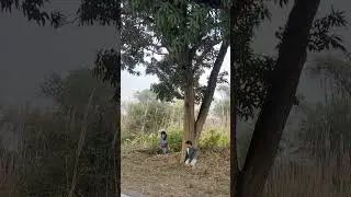 #viralvideo #dance #snaketime