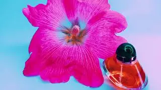 Обзор винтажного парфюма Volupt&eacute; Oscar de la Renta