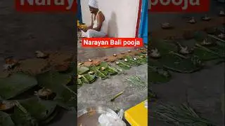 Narayan Bali pooja #pooja path #shorts#trending #viral #horror #ghost
