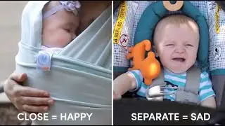 Why Newborns Love Being Worn In Carriers | From The Baby's Point Of View