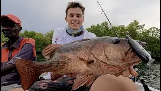 Fishing the Kenyan Mangroves (BIG SNAPPER)