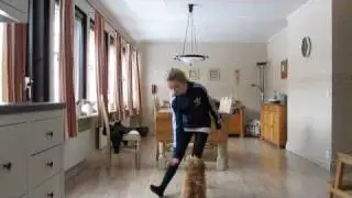 Elsa tricksar