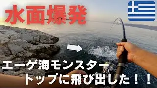 【ロックショア】夏磯でモンスター捕獲！ポッパーに飛び出したのは激ウマなあの魚！