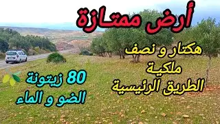 2026-2-3 : هكتار و نصف ملكية على الطريق الرئيسية ، 80 زيتونة 🫒 الضو و الماء . الهاتف ☎️ 0652902061
