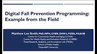 Digital Fall Prevention Programming: Examples from the Field