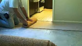 Pet urine treatment and process