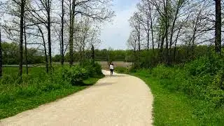 SafeWalking