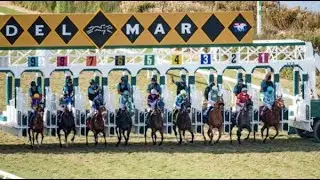 Выбор Del Mar 8 ноября