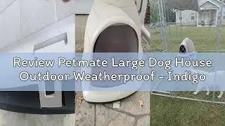 Review Petmate Large Dog House Outdoor Weatherproof - Indigo Igloo Dog House, Made in USA, for Large