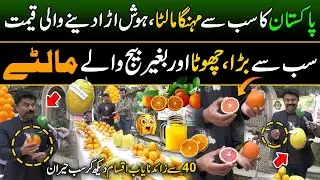 Explore the 7th National Orange Festival at Lahore's Organic Village
