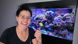 Fire Zoa Packs Have Left The Reef
