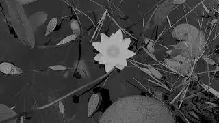 Spiritual Anchor - We're on to you
