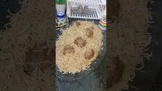 Kashmiri Gushtaba Pulao Recipe |One Pot Recipe | Kitchen Tales With Ayesha| #shorts #viral #kashmiri