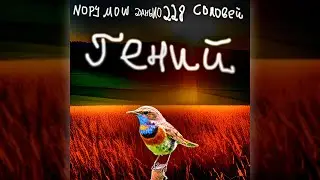Nopy Mow - Гений  (feat. ДанЫло 228, Соловей)