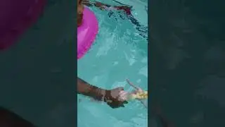 Frozen - Elsa and Anna has A swimming contest