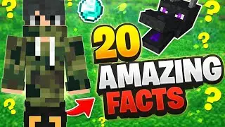 MINECRAFT AMAZING FACTS 