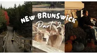 Part 2 | Ontario to New Brunswick | Pinoy Resto Owner sa Shediac | Magnetic Hill | Giant Lobster