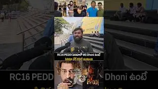 Public shocking comment on RC16 PEDDI movie about MS Dhoni  & Ram Charan | telugu cinema looks