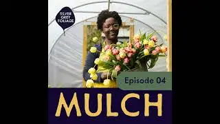 Behind the scenes at Silver Grey Foliage Flower Farm - January 2024