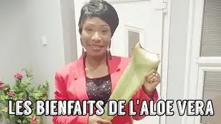 BEAUTE ET SANTE : LES BIENFAITS DE L' ALOE VERA