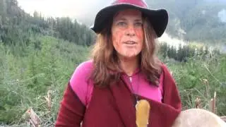 walbran valley