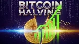 &iquest;Qu&eacute; es el HALVING en Bitcoin? | Explicaci&oacute;n para Principiantes