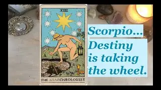 ♏️ Scorpio ♏️ June 2022 Tarot Reading 💟