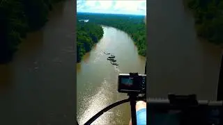 Is there a snake 80 feet long in the Amazon rainforest? #shorts