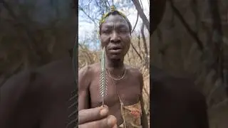 Most dangerous Iron arrow head for killing big animals | Hadza survive by arrows and bows #shorts