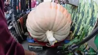 Giant Pumpkin Weigh-Off