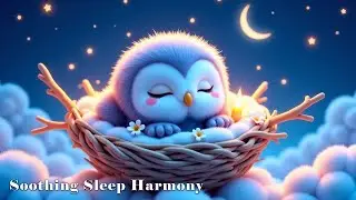 (NO ADS) Relax First, Sleep Follows 🌙 3-Minute Piano to Settle the Mind