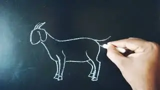 How to draw a Goat 🐐 /easy chalk drawing step by step/ Animal drawing