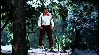 El Charrito Pelicula Completa - Chespirito