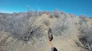 Jupiter 2/17/18 HELL ravine