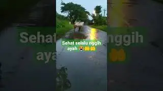 Perjuangan ayah ||Struggle father #shortvideo #viral #viralvideo #shord
