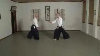 Introduction to the Aikido Guide